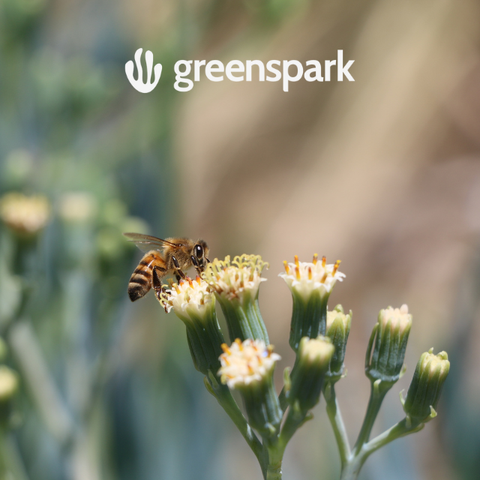 Partnership with Greenspark