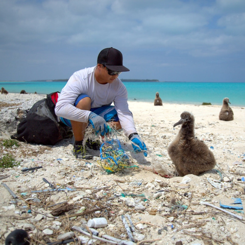 A Kitchen That Gives Back